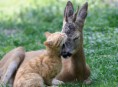 /album/fenykepgaleria/kepgaleria8-jpg/