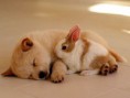 /album/fenykepgaleria/kepgaleria10-jpg/