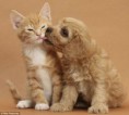 /album/fenykepgaleria/kepgaleria13-jpg/